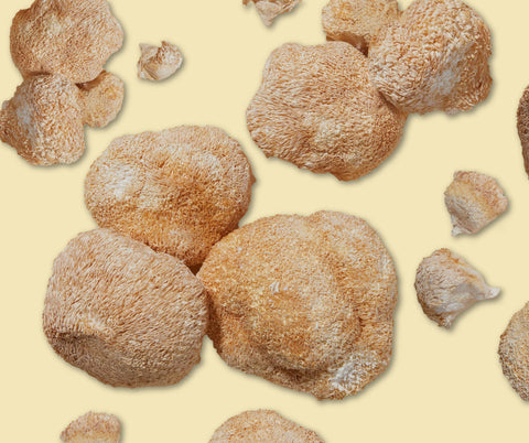 What is Lion’s Mane: Benefits, Uses, and Why It’s in Amazin' Graze!