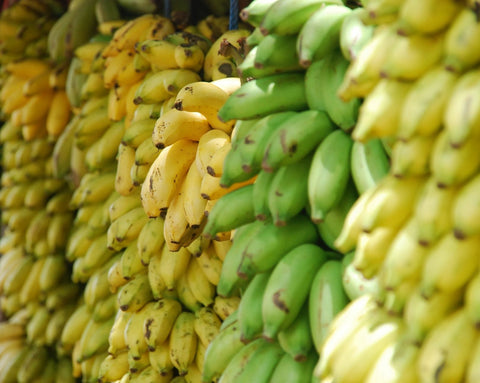 Go Bananas for Bananas! - Amazingraze USA