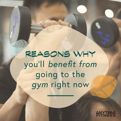8 Benefits You'll Get If You Go To The Gym Right Now - Amazingraze USA