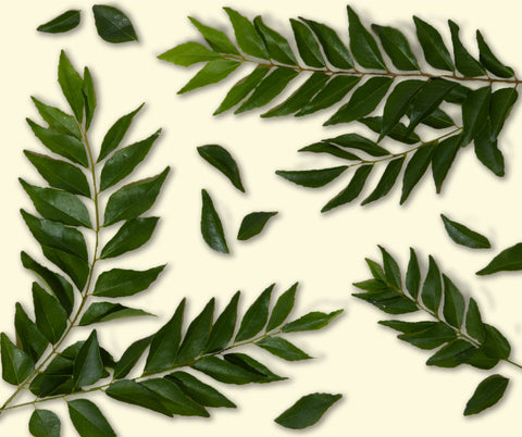 What is Curry Leaves: Benefits, Uses, and Why It’s in Amazin' Graze!