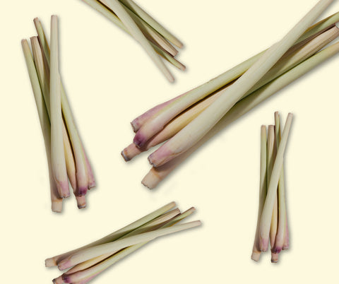 What is Lemongrass: Benefits, Uses, and Why It’s in Amazin' Graze!