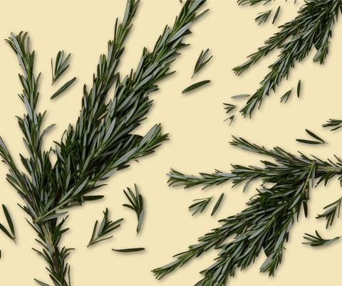 What is Rosemary: Benefits, Uses, and Why It’s in Amazin' Graze!